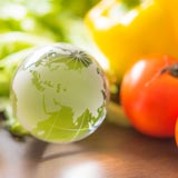 海外輸出用ドレッシングOEM