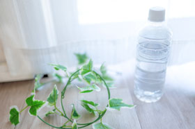 調味料OEMで使用できるペットボトルの歴史